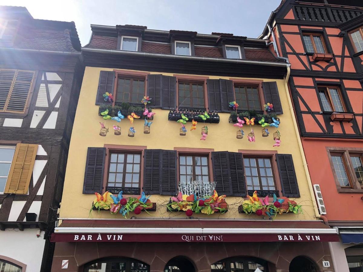 Les Appartements D'Alicia Obernai Bagian luar foto