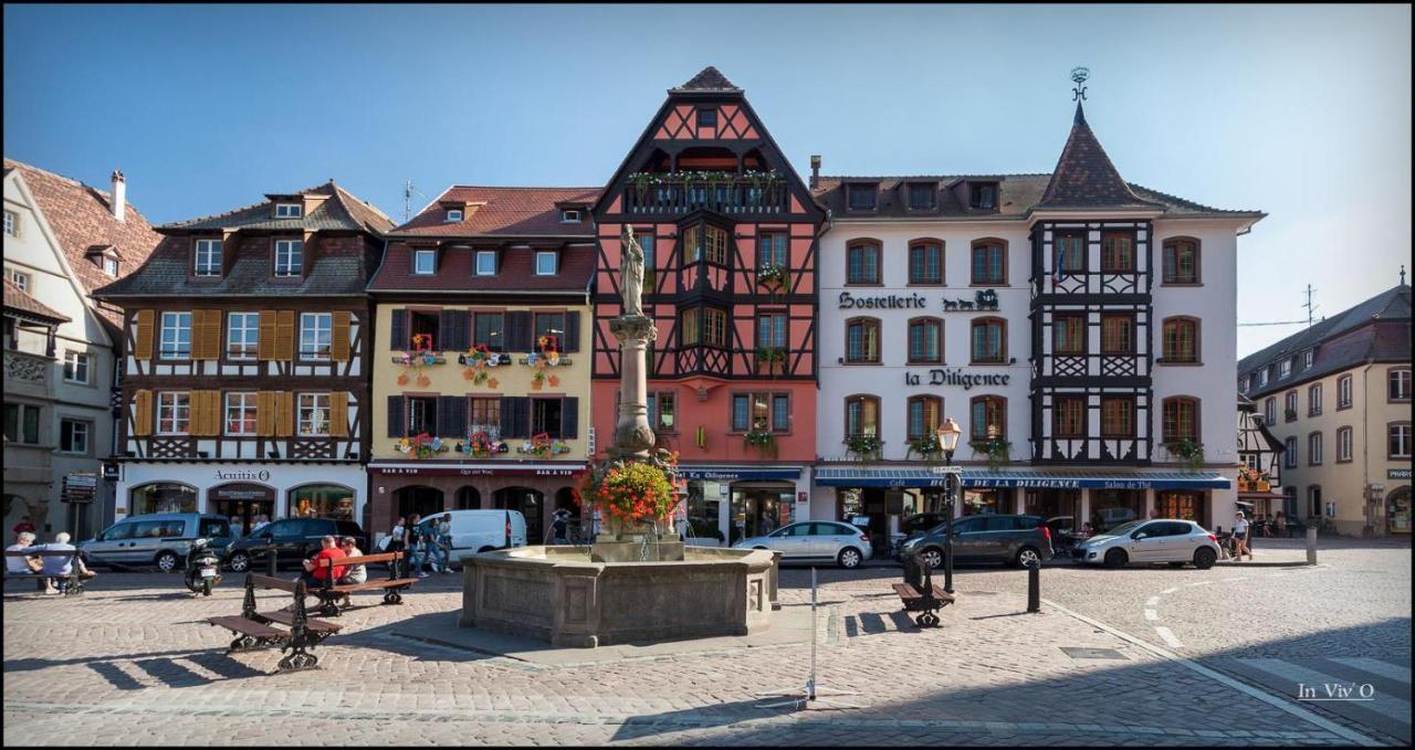 Les Appartements D'Alicia Obernai Bagian luar foto