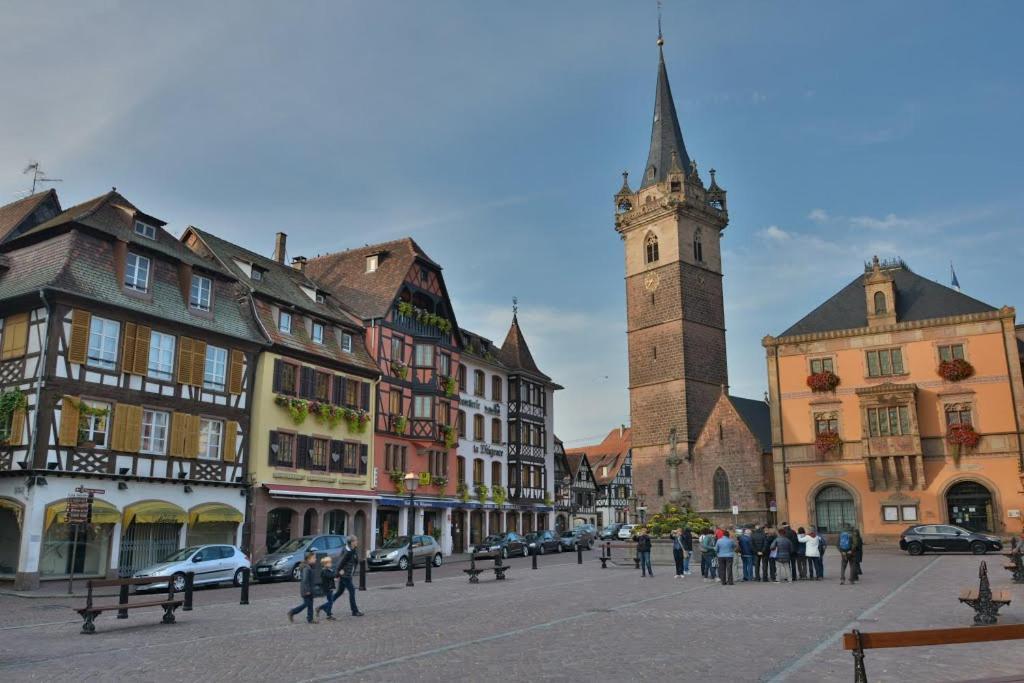 Les Appartements D'Alicia Obernai Bagian luar foto